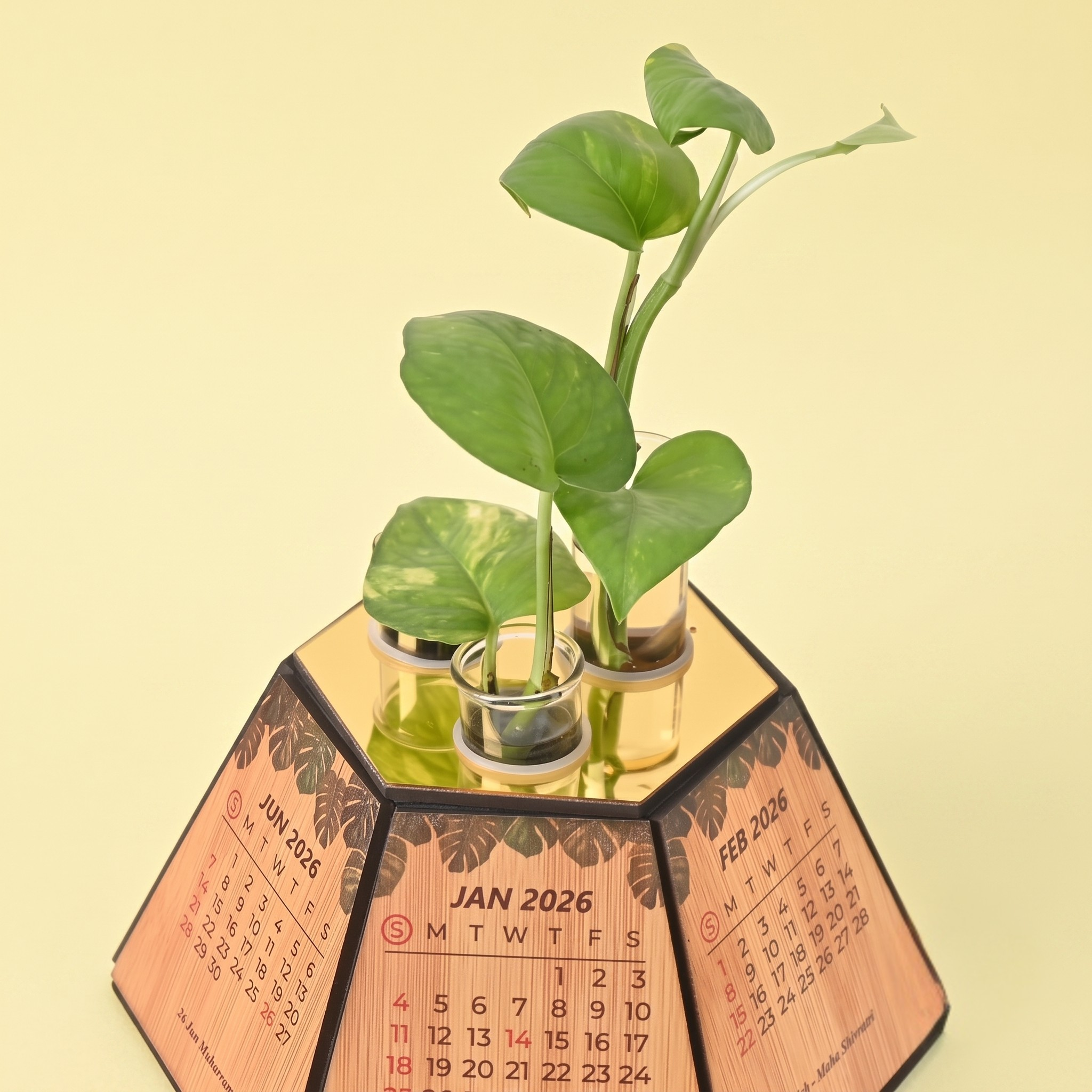 2026 Desk calendar and cute planter with test tube holder wooden 3D Premium Hexagon shape design unique corporate gift for office decor 8 inch (4pc combo eco-friendly)